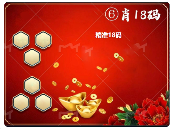 六肖18码